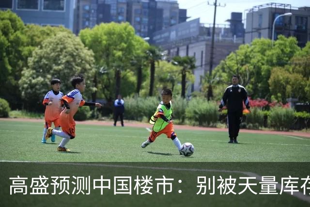 高盛预测中国楼市：别被天量库存骗了，2028年新房可能都不够卖？